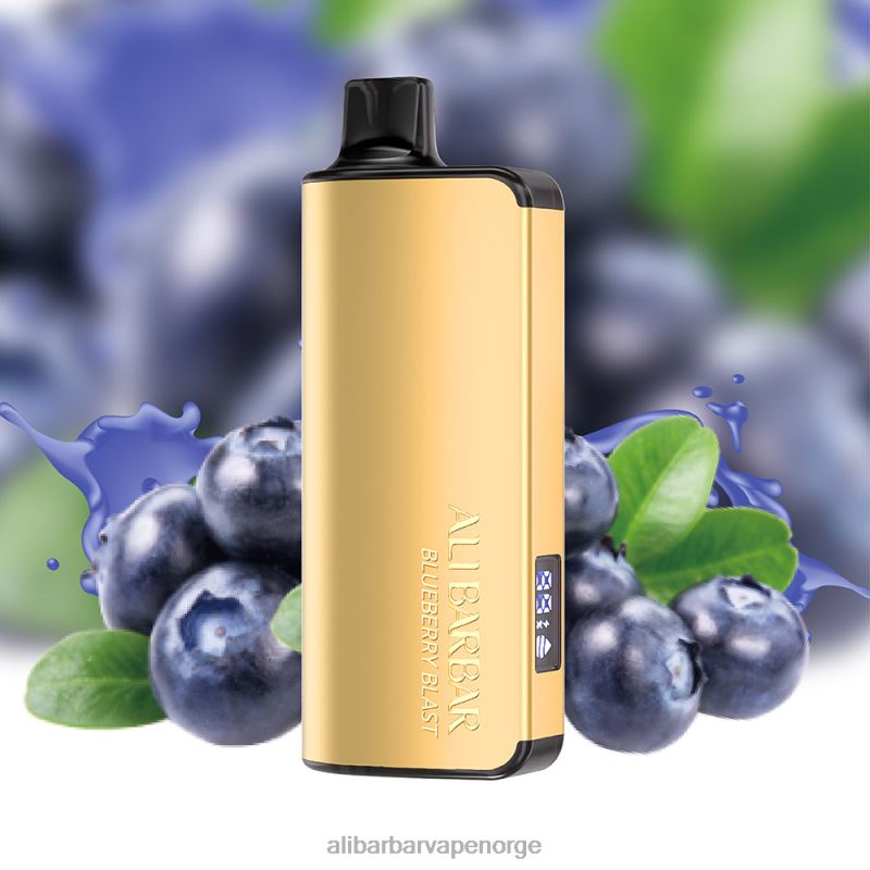 Alibarbar Vape Price blåbærblast - Alibarbar Ingot 9000 engangsvape 00T2R15